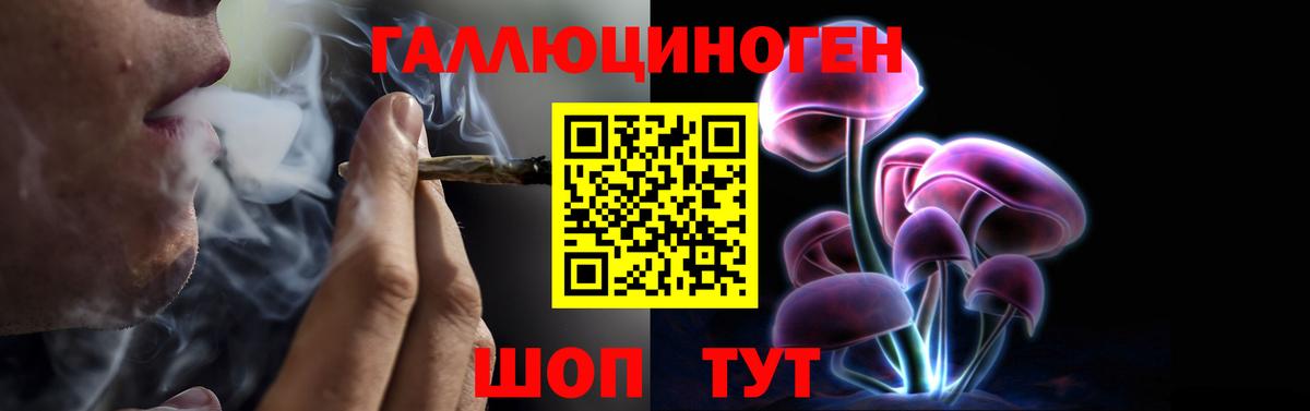 Гатчина  Галлюциногенные грибы Psilocybe  Вход с VPN  Галлюциногенные грибы мухоморы 